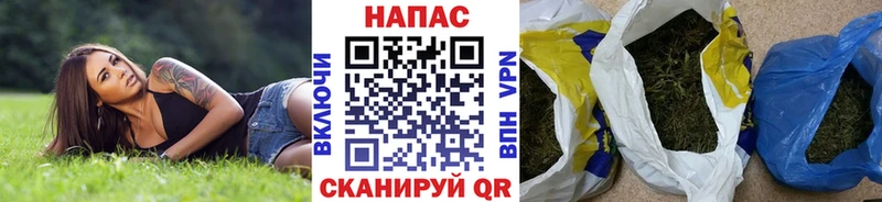 где купить наркотик Павлово Конопля SATIVA & INDICA
